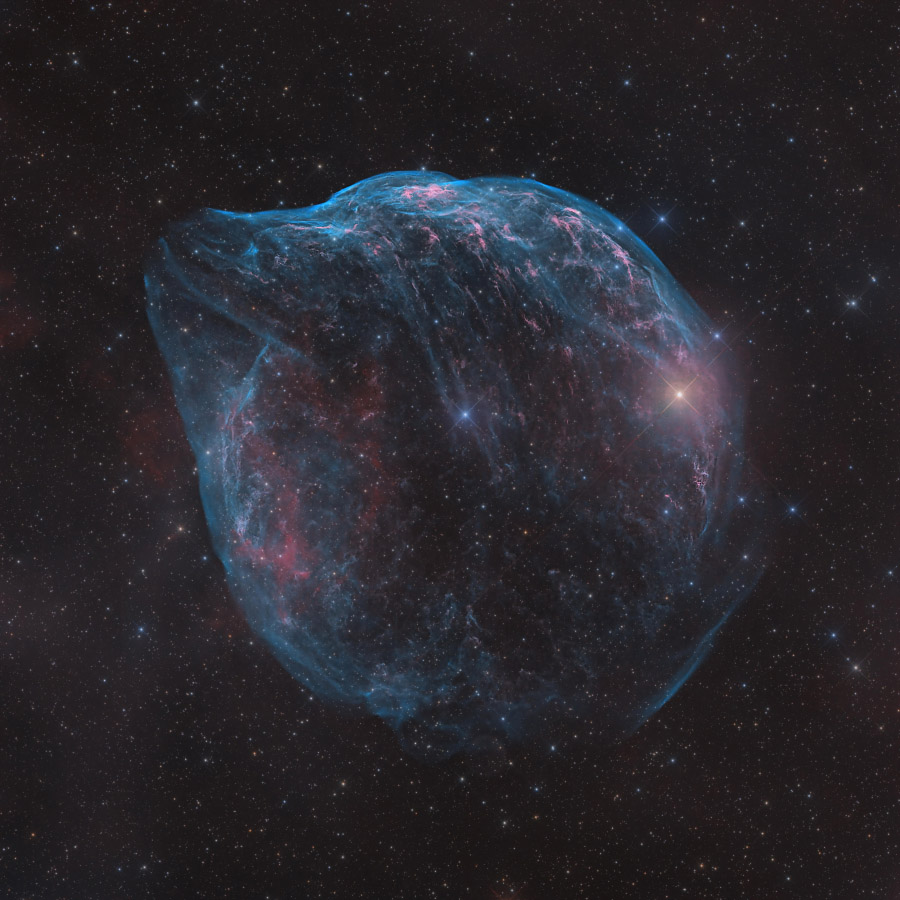 ShaRA#8.1 &ndash; Il Delfino Linsalata