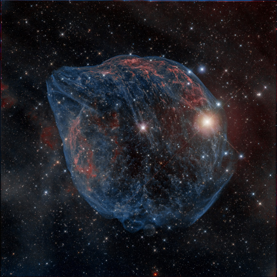 ShaRA#8.1 &ndash; Il Delfino Lioce