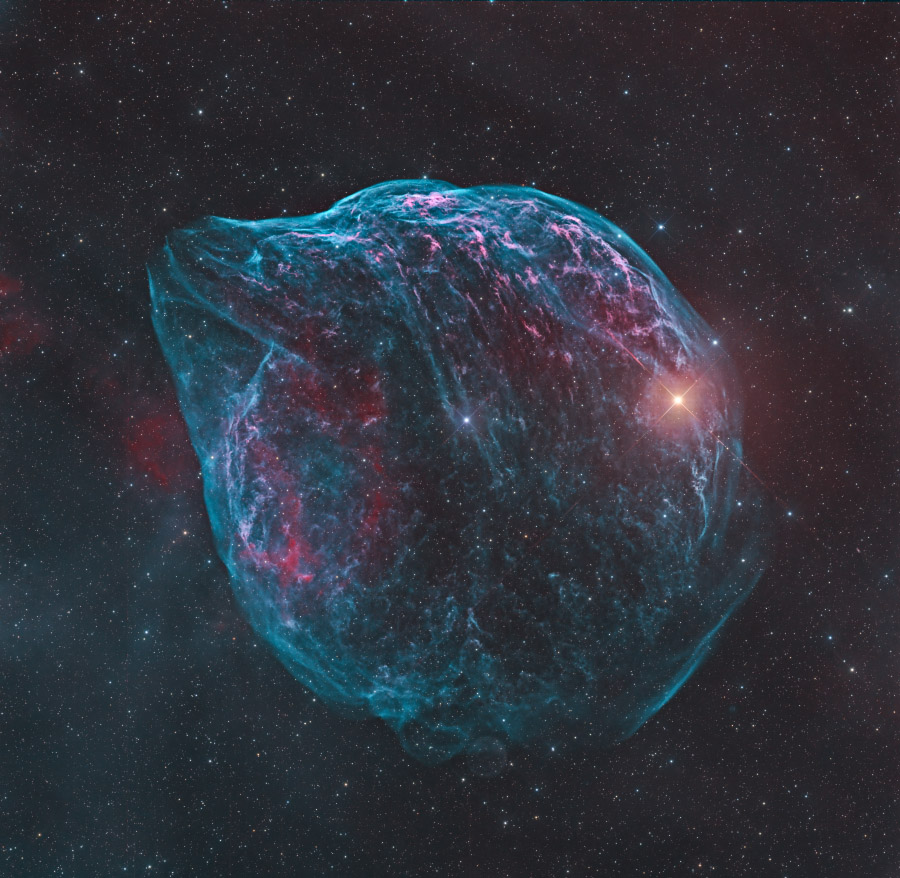 ShaRA#8.1 &ndash; Il Delfino Maffioli