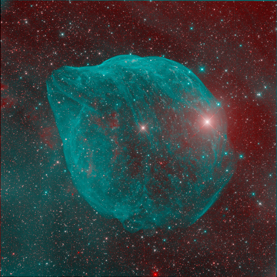 ShaRA#8.1 &ndash; Il Delfino Michieletto