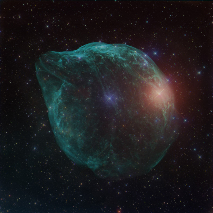 ShaRA#8.1 &ndash; Il Delfino Trabuio