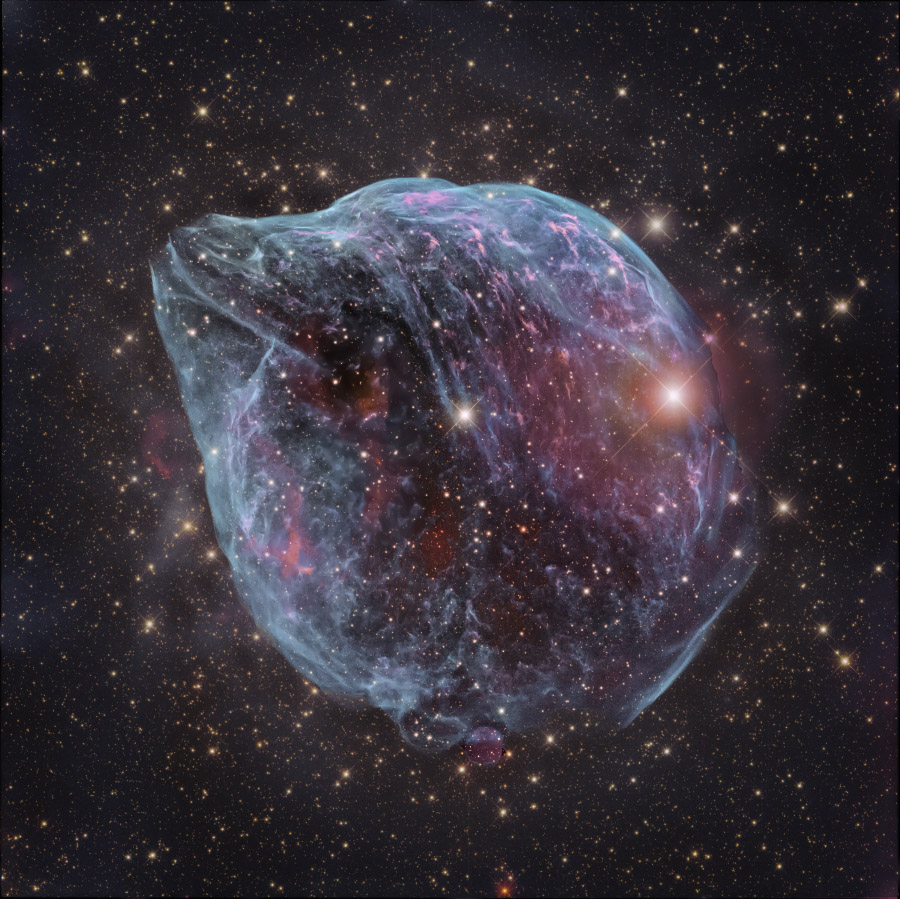 ShaRA#8.1 &ndash; Il Delfino Vergani