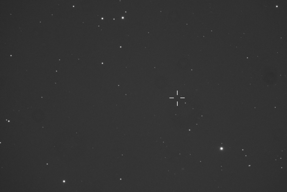 Chesire Cat - Stregatto