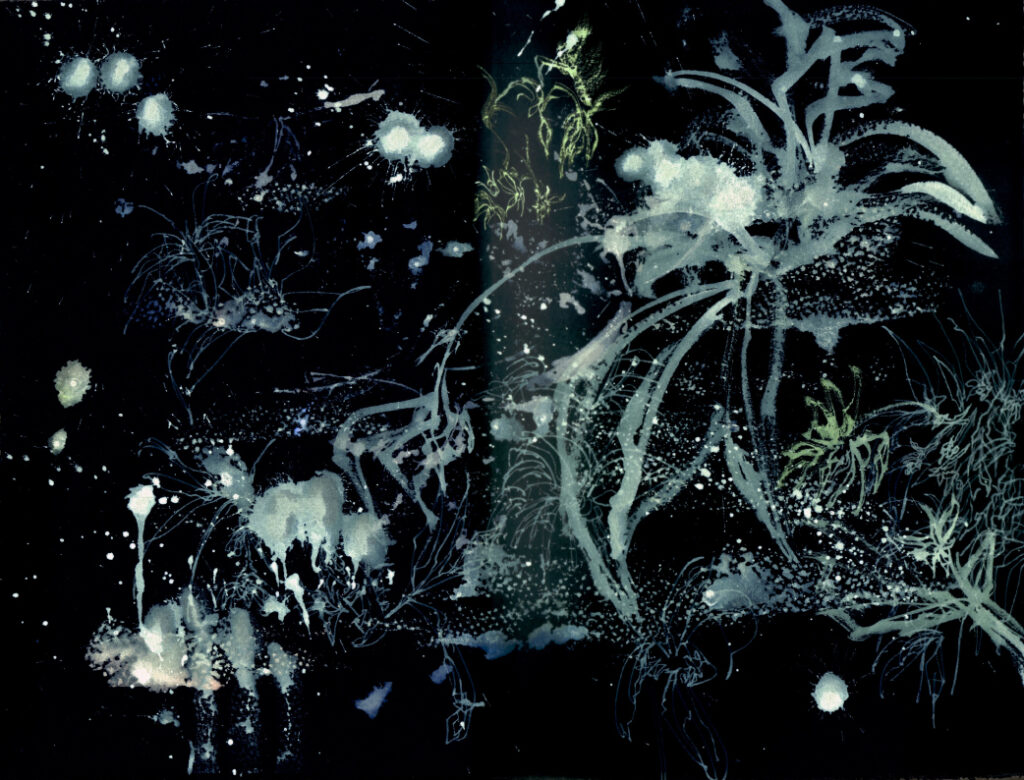 La Freccia del Tempo