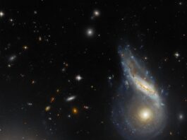 Arp 122 immagine Hubble