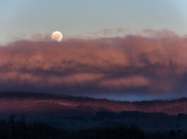 Osservazione Diurna. Luna piena che sorge tra le nuvole rosa 26 dicembre 2023 ore 16:30 Sila piccola, Calabria Nikon D7500 f /9 1/320s ISO 200 obiettivo 70-300 mm treppiedi Manfrotto. Credito Teresa Molinaro