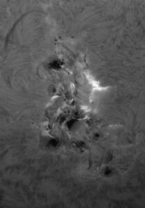 AR3664 in H-alpha, ripresa col 115mm f/8 + IR/UV cut + Daystar Quark Prominence + ASI432MM alle 7.13UTC versione a colori e B/N.