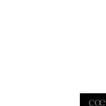 SOLO-scritta-Coelum-bianca