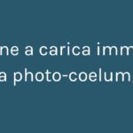 bottone a carica immagine link a