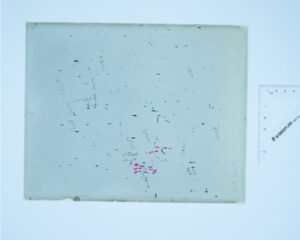 Immagine di scoperta della SN1895B lastra B14151 