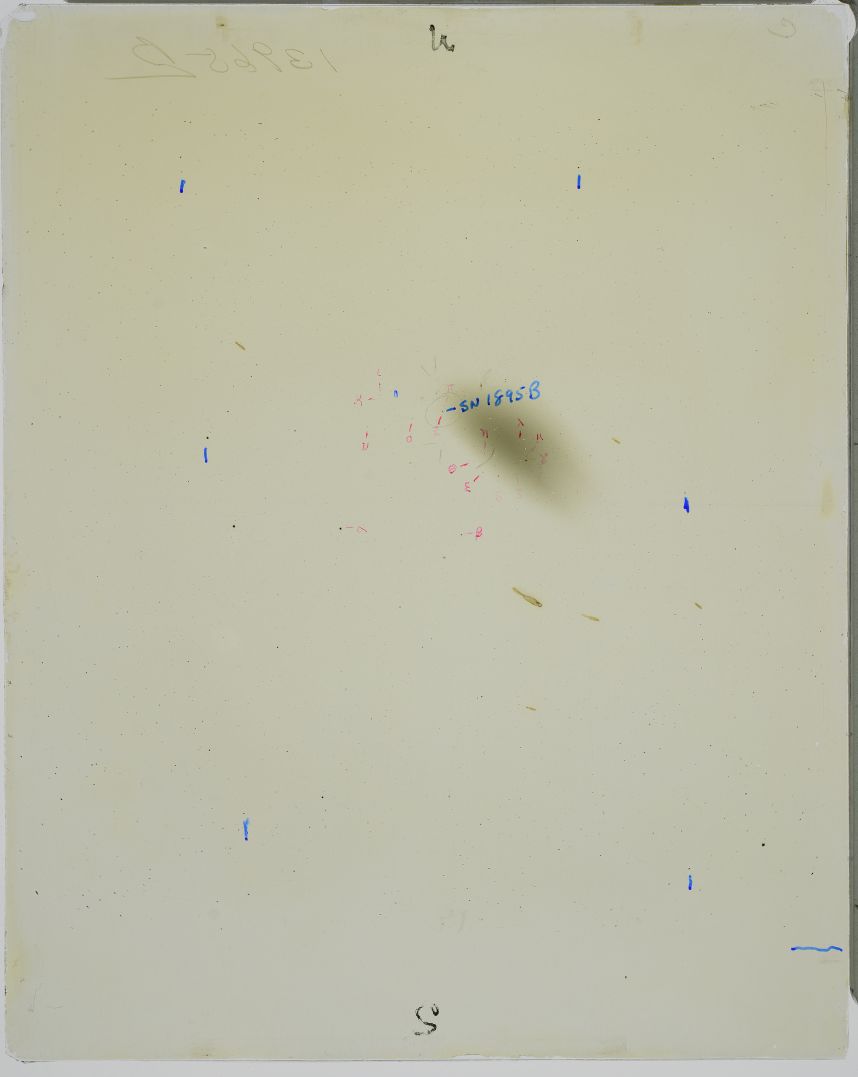 Primissima immagine di scoperta della SN1895B lastra B13965 ottenuta con il Bache Doublet Telescope da 200mm e 10 minuti di posa, realizzata l&rsquo;8 luglio dalla stazione meridionale dell&rsquo; Harvard Observatory ad Arequipa in Per&ugrave;. Questa immagine fu ottenuta in luce diretta senza il prisma e pertanto &egrave; ben visibile sia la galassia ospite NGC5253 che la SN1895B che aveva superato da pochi giorni il massimo di luminosit&agrave;.