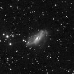 3) SN2024abfl_NGC2146_Segarra
