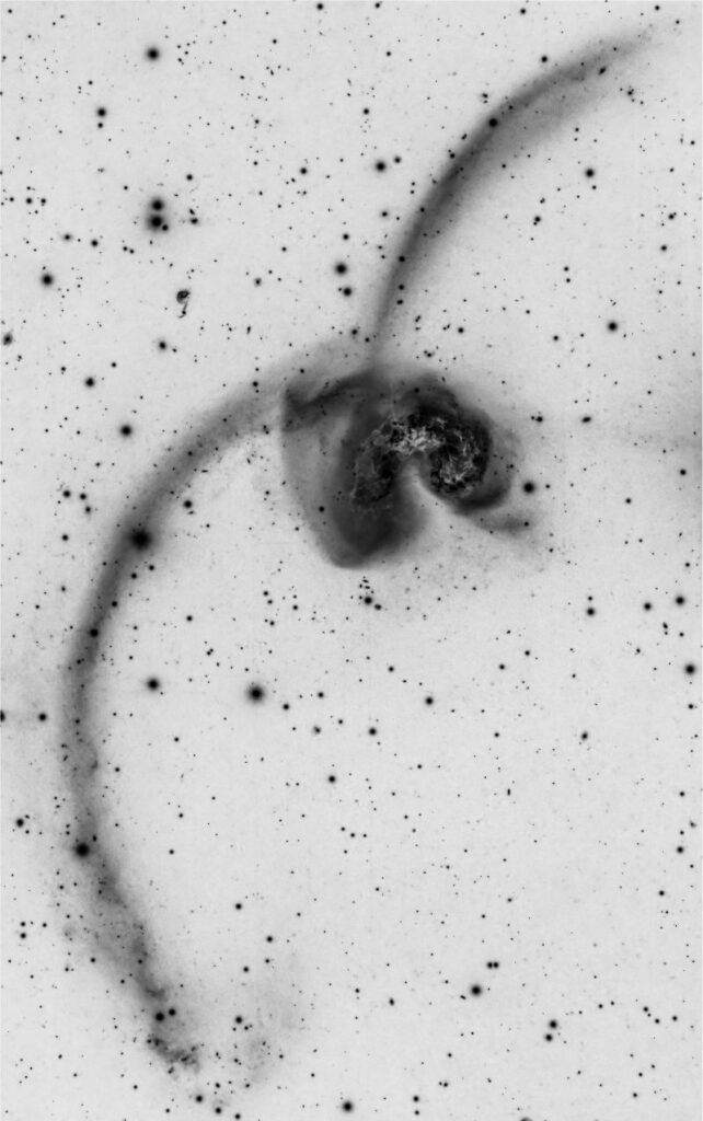 Versione a contrasti invertiti che permette di evidenziare meglio le code mareali delle galassie interagenti (le Antenne appunto). Crediti @ShaRA Team