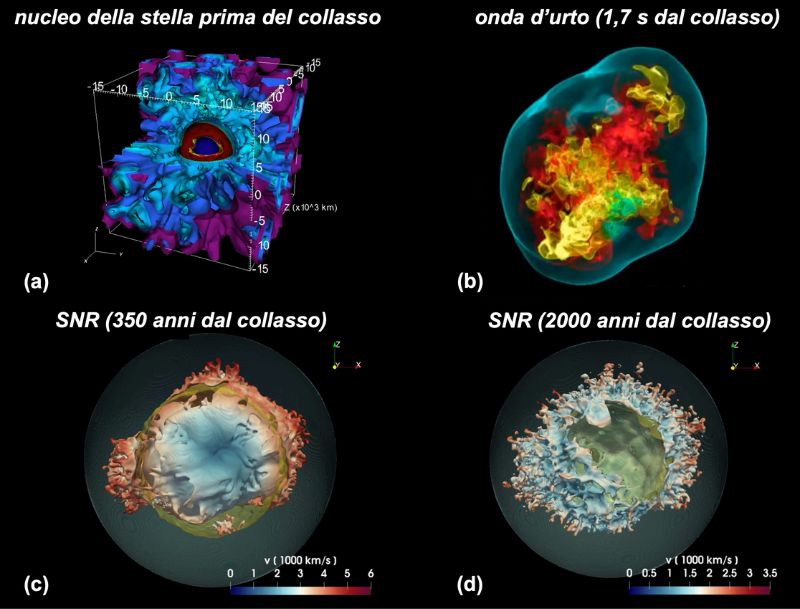 Figura 5. (a) Modello 3D che descrive la struttura della stella nelle regioni prossime al nucleo nei momenti precedenti il suo collasso. Crediti: Yoshida et al. (2021, ApJ 908, 44). (b) Modello 3D che descrive l&rsquo;evoluzione di una supernova a collasso del nucleo pochi secondi dopo il collasso. Crediti: T.-H. Janka (MPA, Garching, Germania). (c) e (d) Modello 3D che descrive l&rsquo;evoluzione dalla supernova al suo resto. I due pannelli mostrano la distribuzione di materiale ricco di ferro 350 anni e 2000 anni dopo l&rsquo;esplosione. Crediti: Orlando et al. (2021, A&A 645, A66).