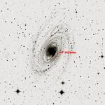 4) M81_20250305_AT2025dkp