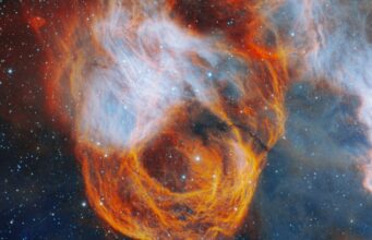 NGC 2040 Una Rosa Infuocata