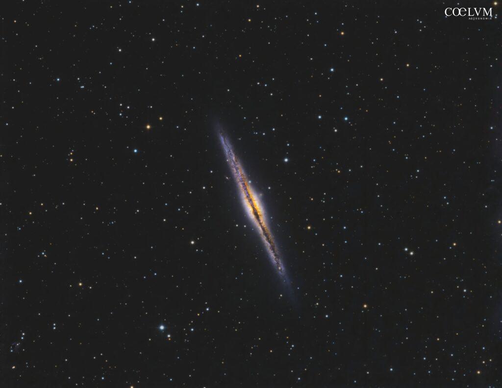 NGC 891 galassia spirale in Andromeda