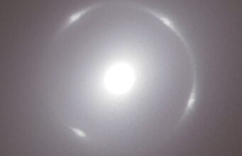 Euclid Scopre un Anello di Einstein