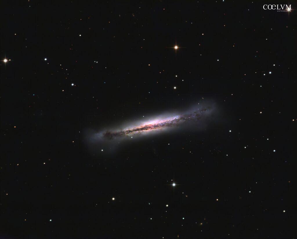 NGC 3628 galassia in Leone