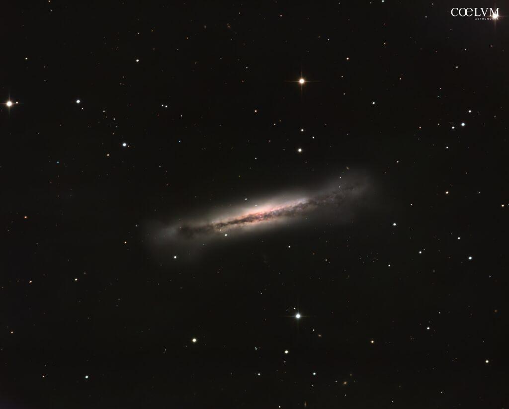NGC 3628 galassia in Leone