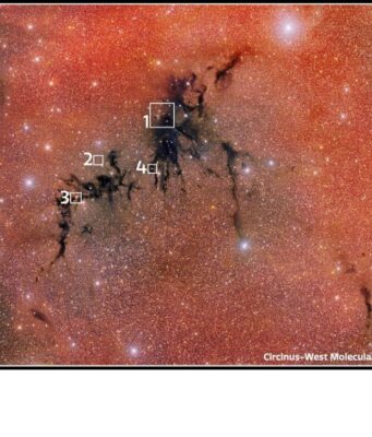 Circinus West: Una Nebulosa Oscura che Ospita un Nido di Nuove Stelle