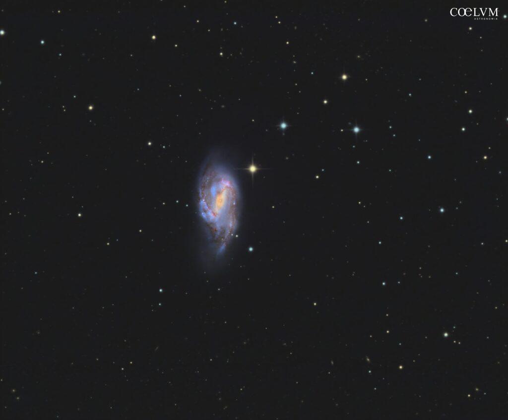 M66
