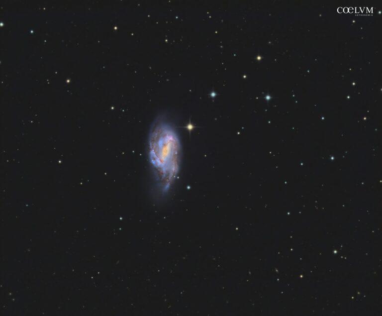 M66