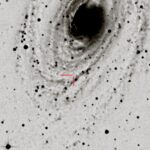 1) AT2025mlk_M81_scoperta