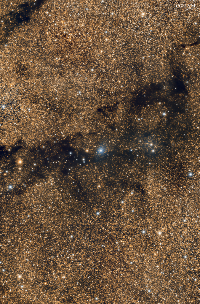 NGC 6793 Lochness Nebula