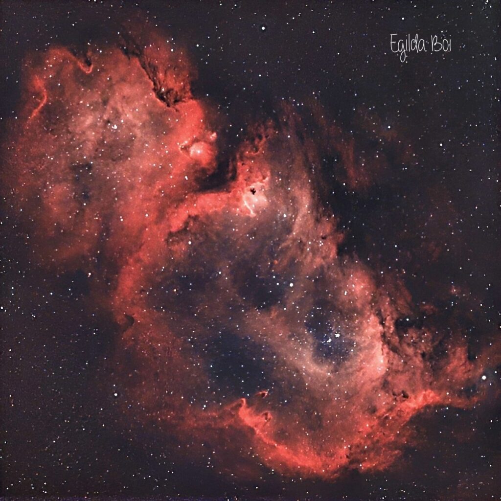 Nebulosa Anima o Feto