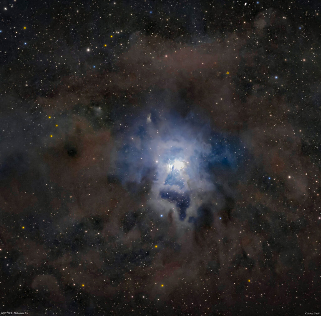 NGC7023 – NEBULOSA IRIS