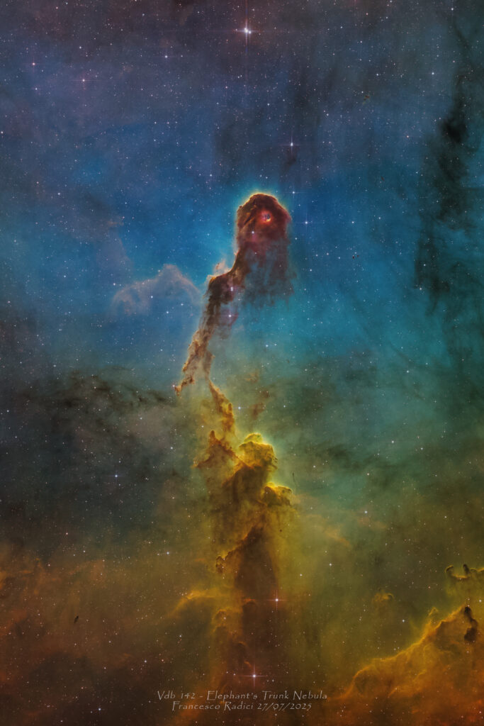 Vdb142 Elephant’s Trunk Nebula