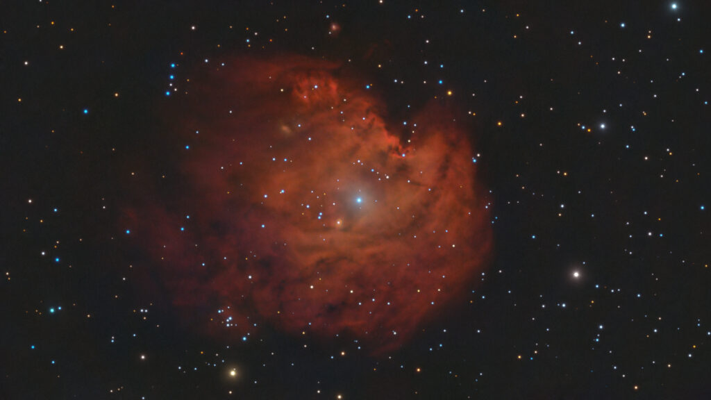NGC2175 nebulosa Testa di Scimmia