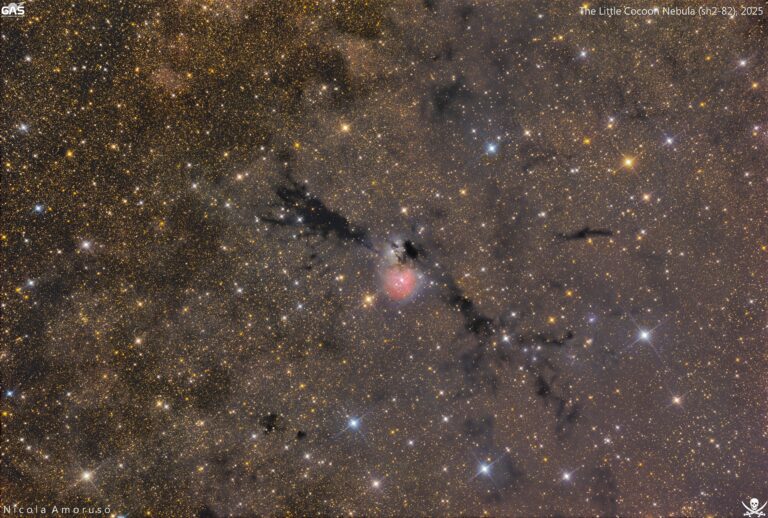 The Little Cocoon Nebula (SH2-82)