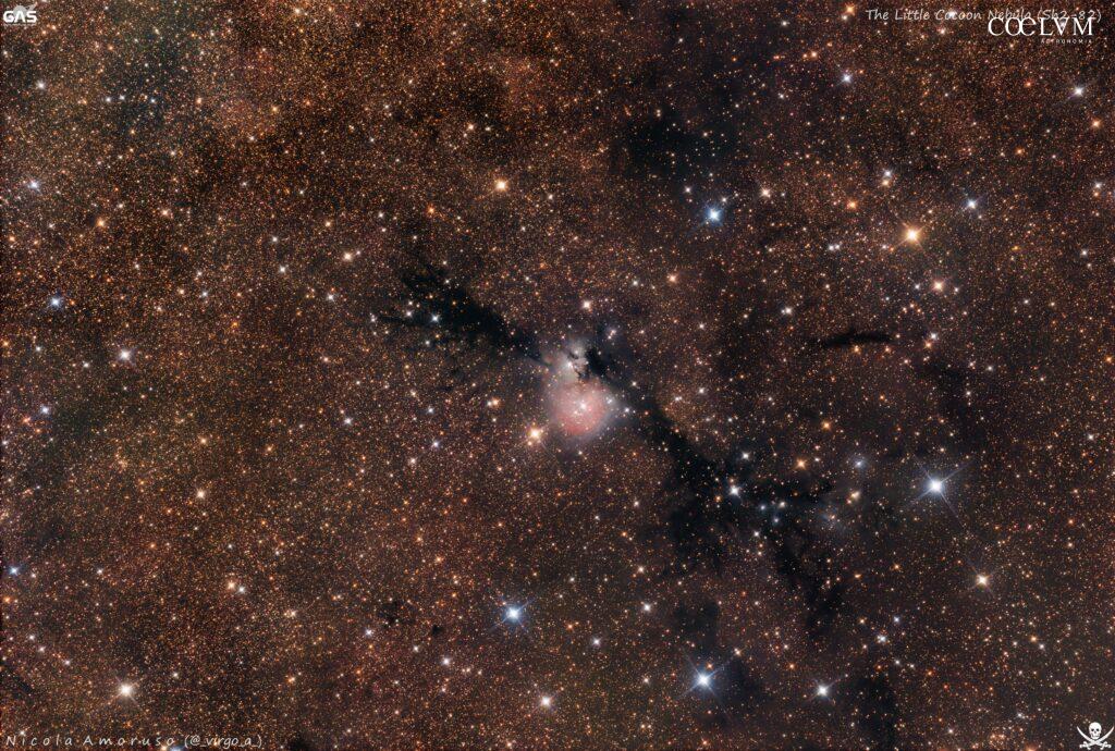 The Little Cocoon Nebula (Sh2-82)