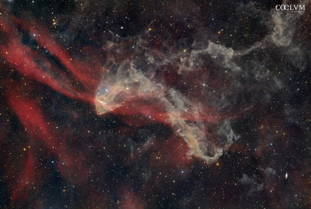 Gecko Nebula (LBN 437)