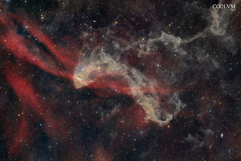 Gecko Nebula (LBN 437)