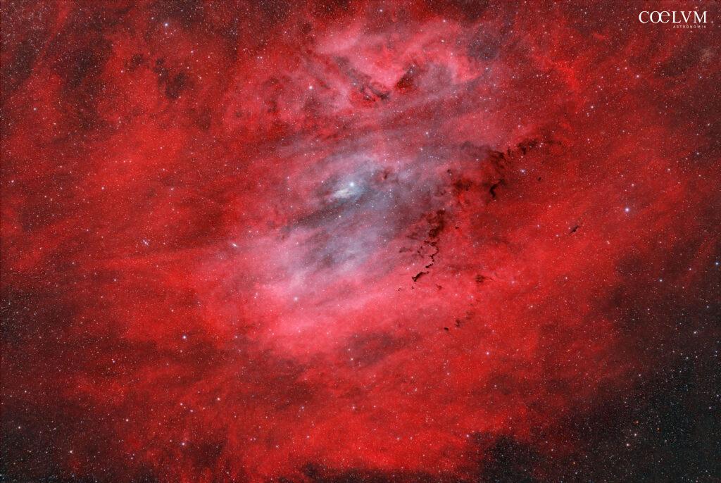 La Nebulosa Conchiglia