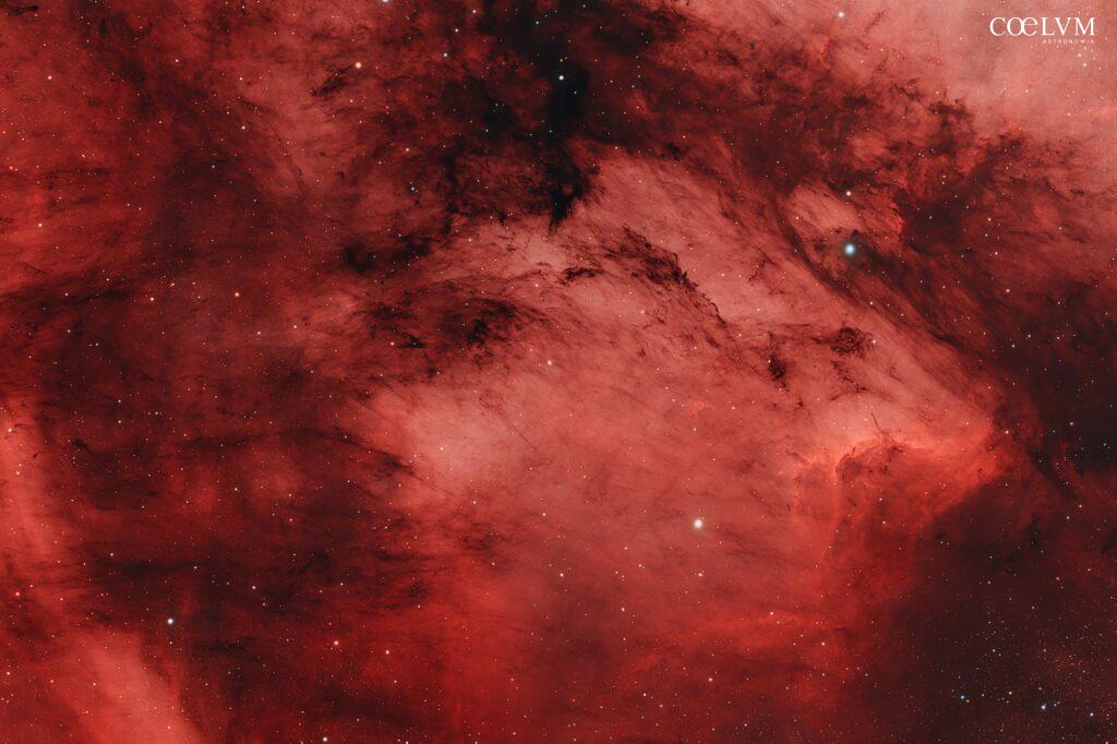 NEBULOSA PELLICANO (IC5070)
