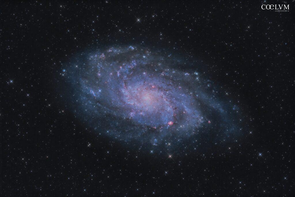 Galassia del Triangolo M33 o NGC598
