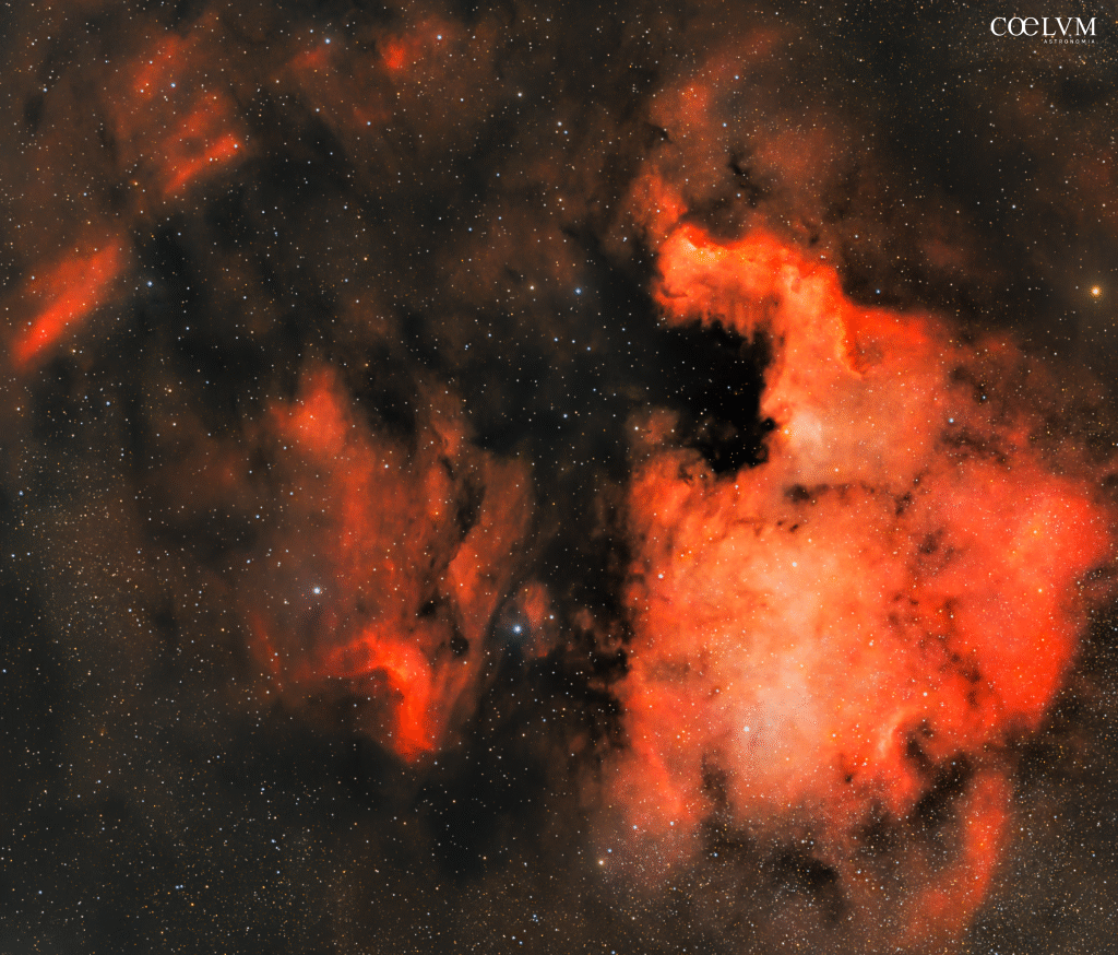 NGC 7000 – La Nebulosa Nord America nel Cigno