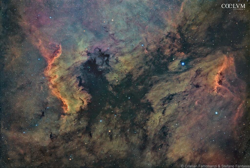 Nordamerica e Pellicano