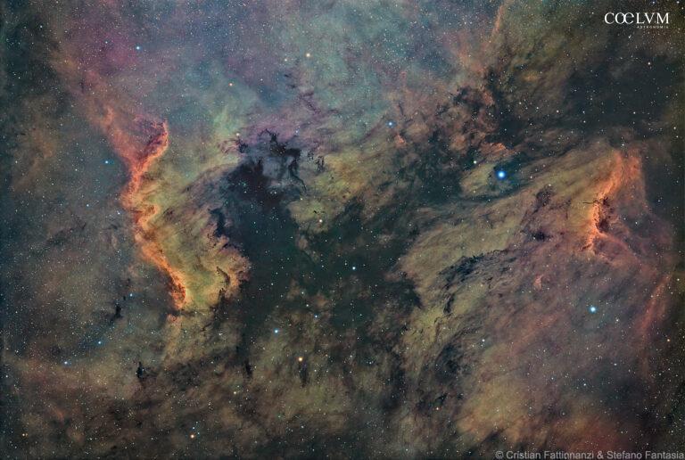 Nordamerica e Pellicano