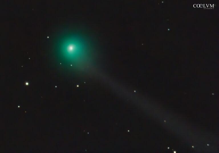 Cometa A6 (Lemmon)