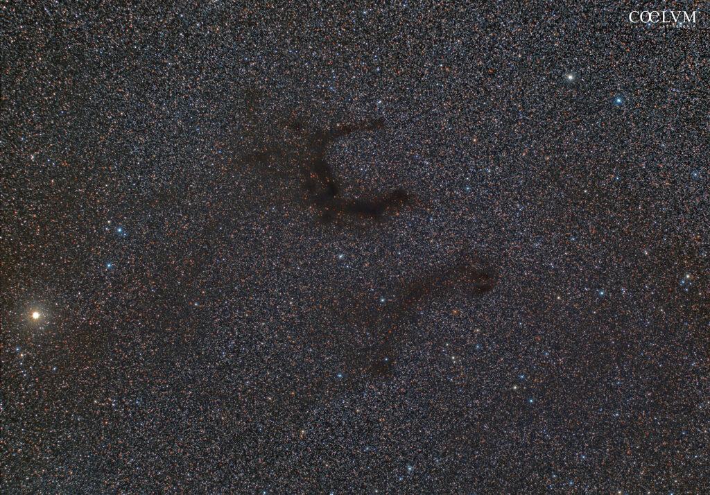 Nebulosa E (Barnard 142-143)