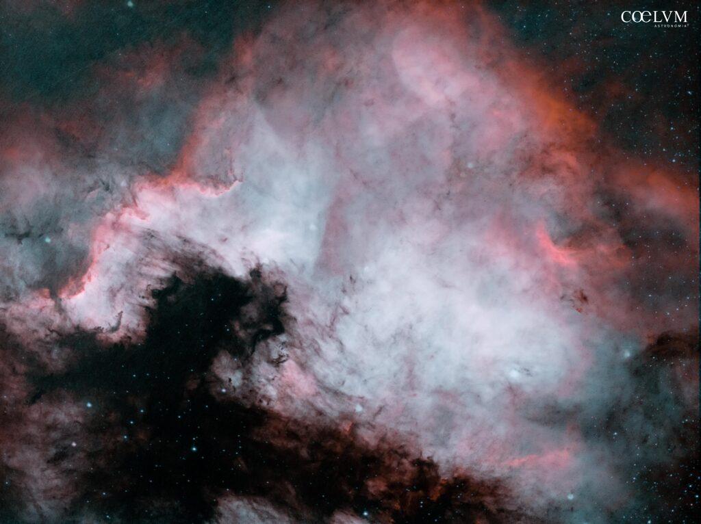 NGC 7000 Nebulosa Nord America