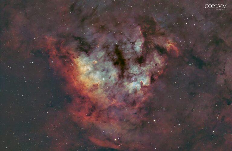 TEDDY BEAR NEBULA IN SHO (NGC7822)