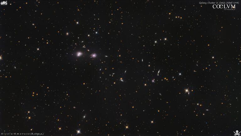Ammasso di Galassie nella costellazione della Balena (Abell 194)
