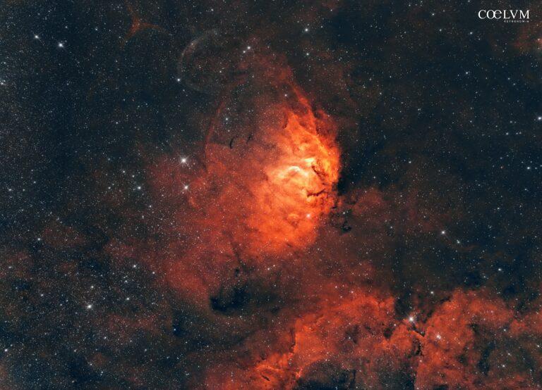 Nebulosa Tulipano – Versione normale