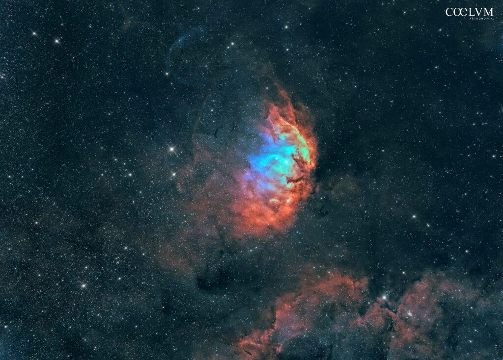 Tulip Nebula – L’Eleganza della Natura Cosmica